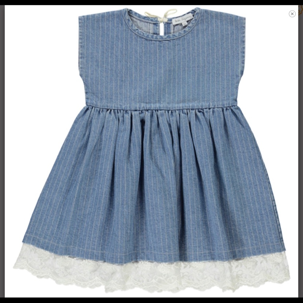 Bebe Organic Denim Marlene Dress
